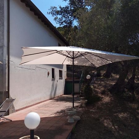 L'Antica Quercia B&B Castell'Umberto Esterno foto