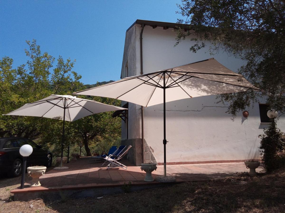 L'Antica Quercia B&B Castell'Umberto Esterno foto