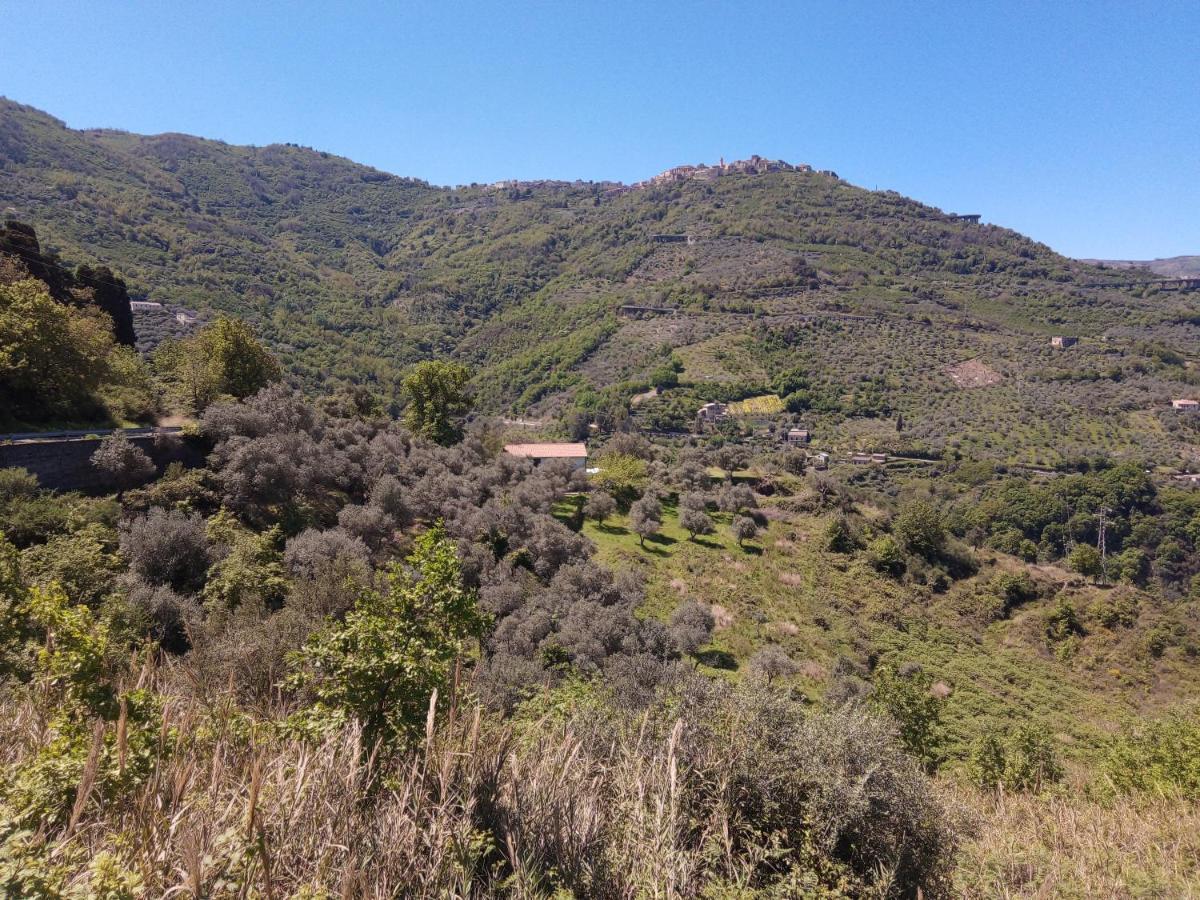 L'Antica Quercia B&B Castell'Umberto Esterno foto