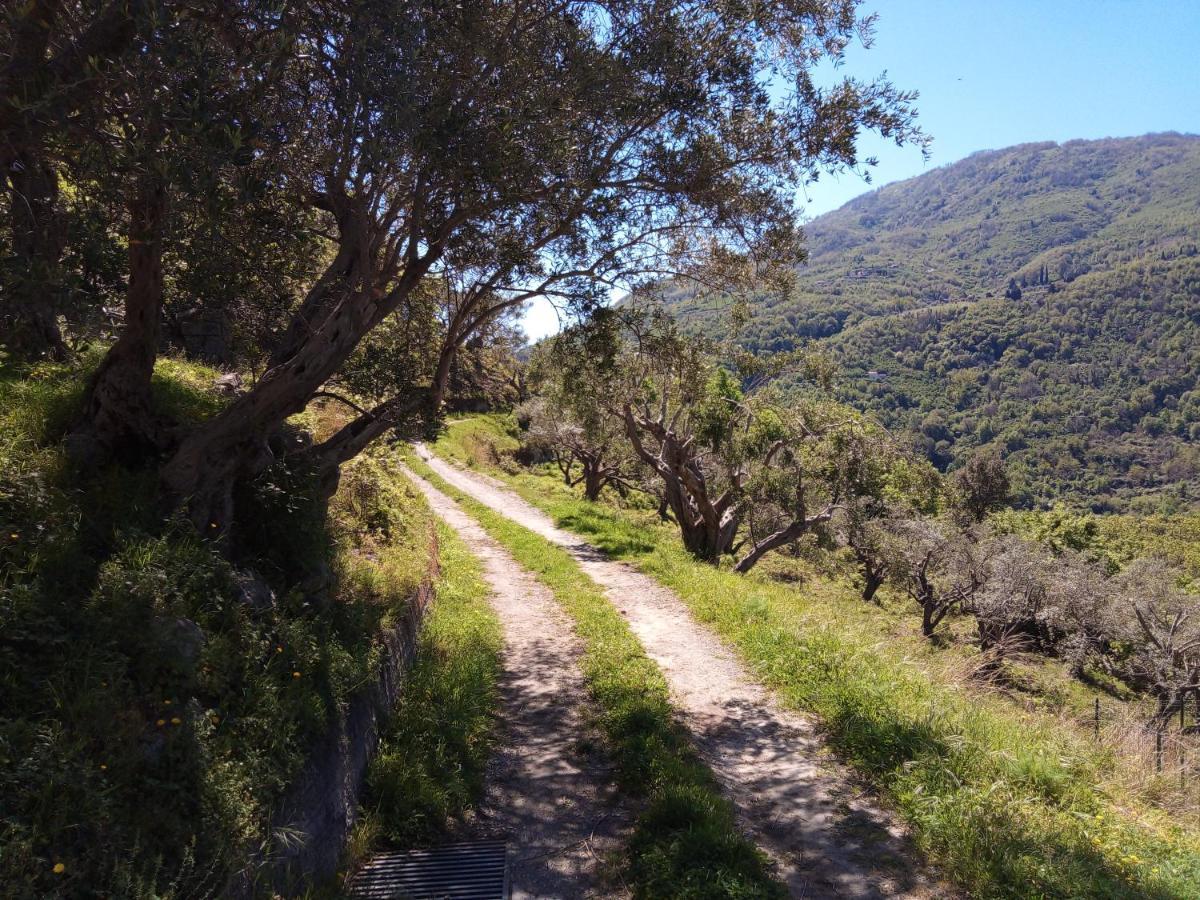 L'Antica Quercia B&B Castell'Umberto Esterno foto