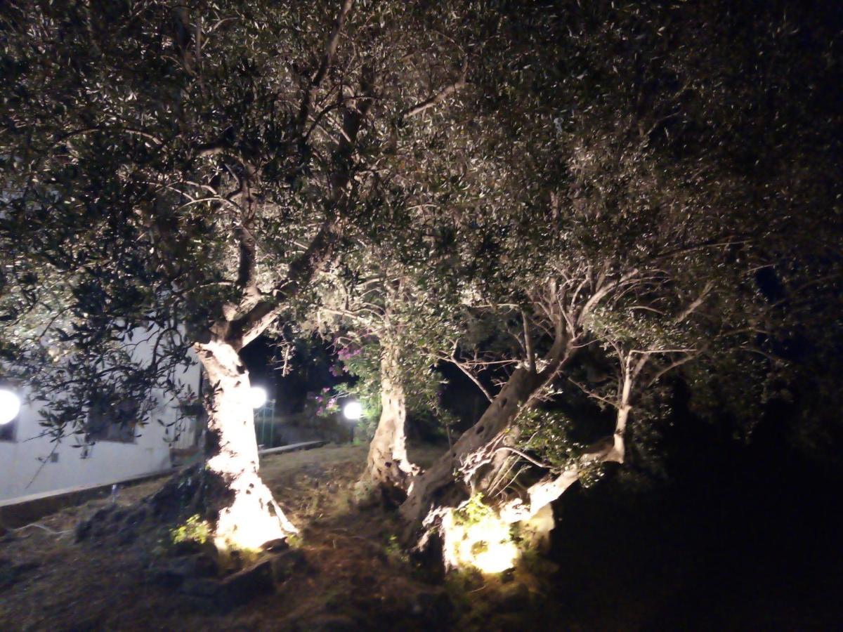 L'Antica Quercia B&B Castell'Umberto Esterno foto