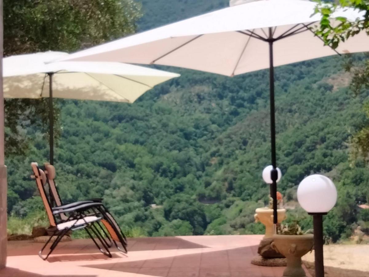 L'Antica Quercia B&B Castell'Umberto Esterno foto