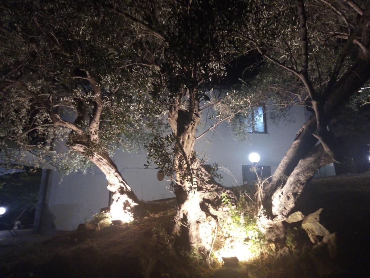 L'Antica Quercia B&B Castell'Umberto Esterno foto