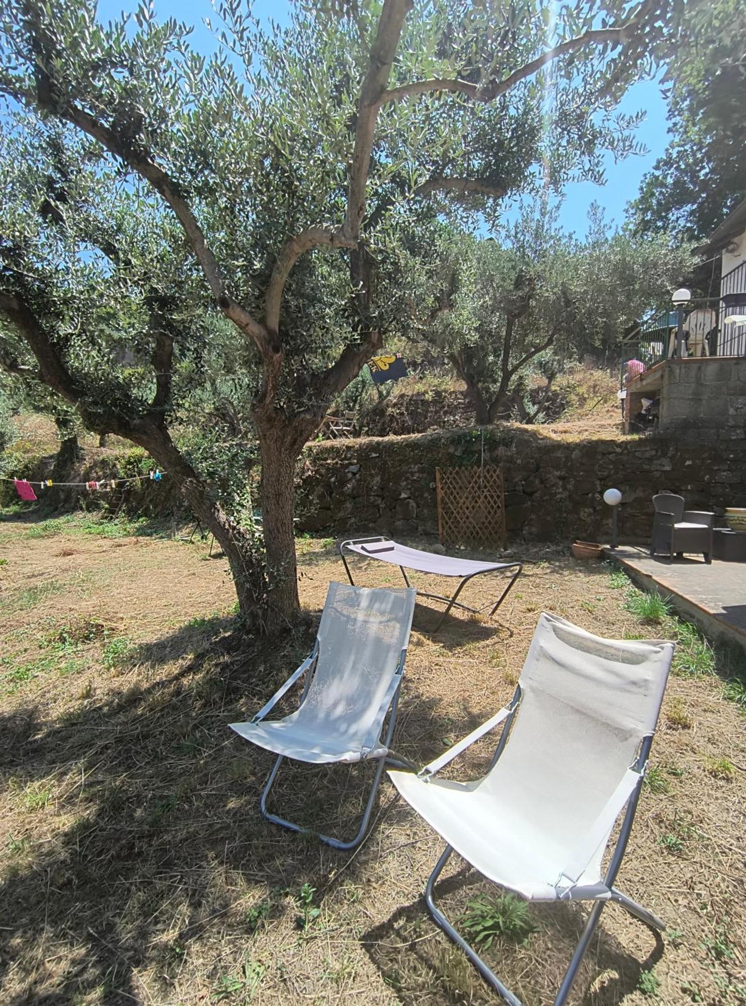 L'Antica Quercia B&B Castell'Umberto Esterno foto