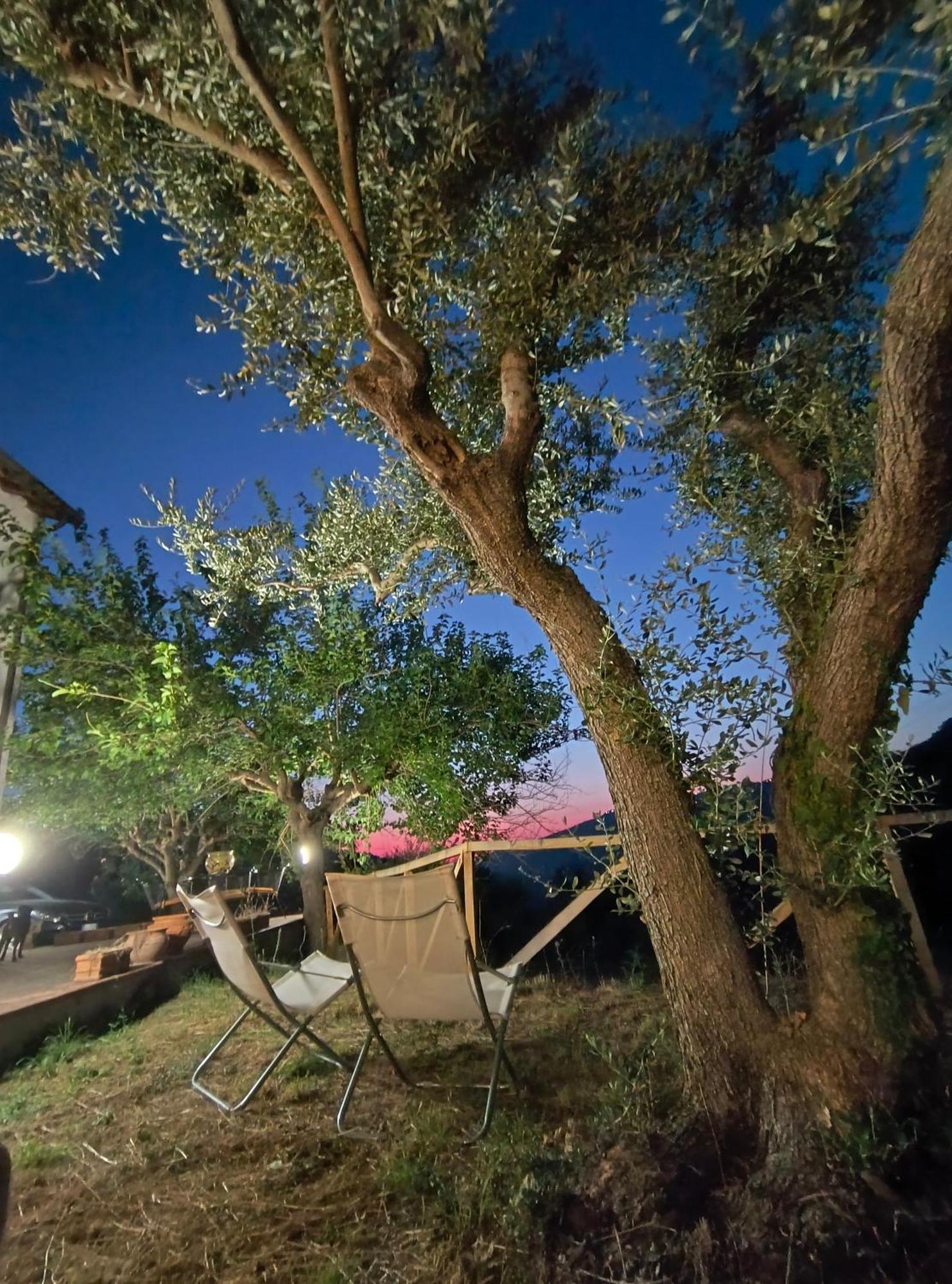 L'Antica Quercia B&B Castell'Umberto Esterno foto