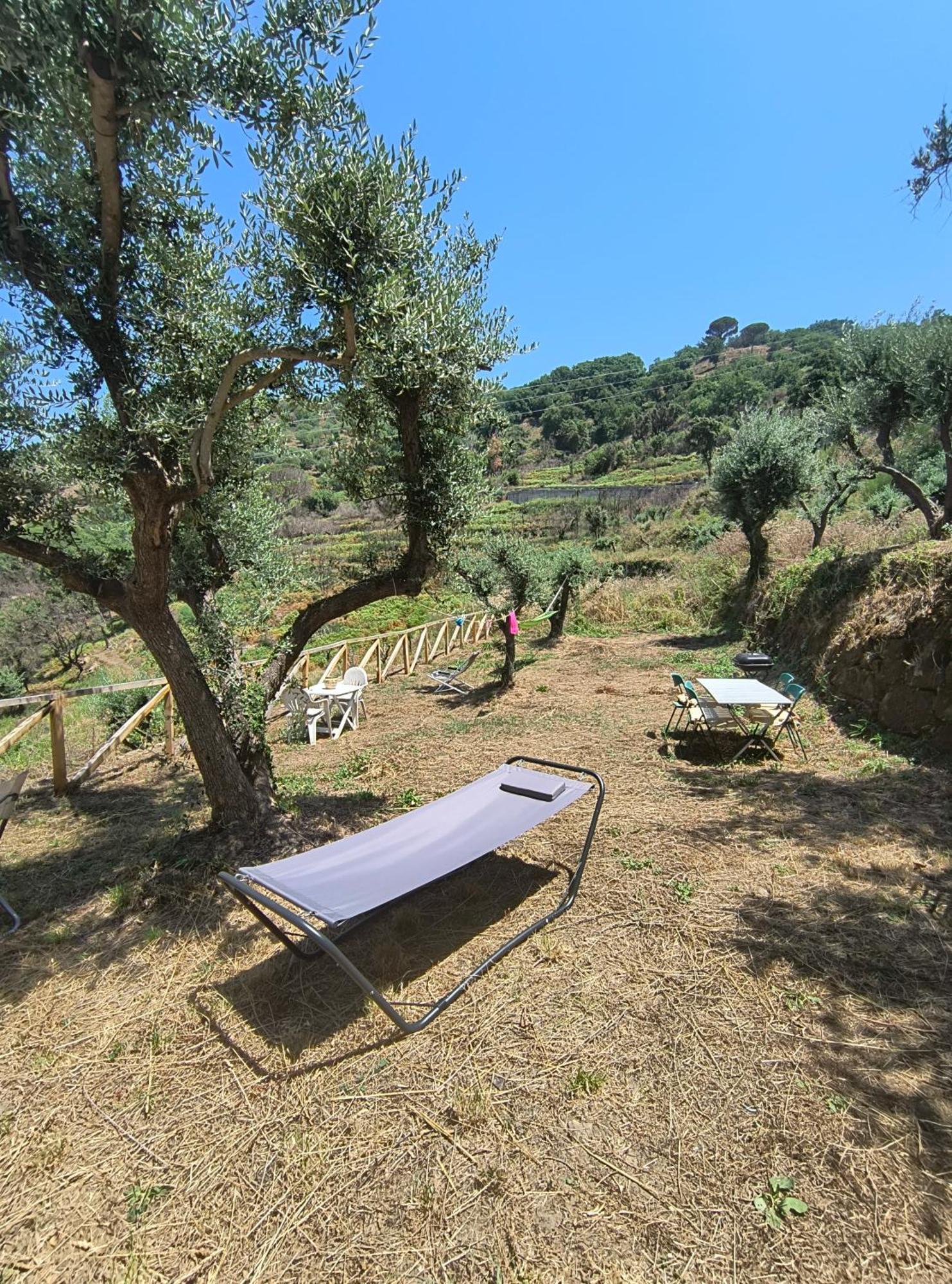 L'Antica Quercia B&B Castell'Umberto Esterno foto