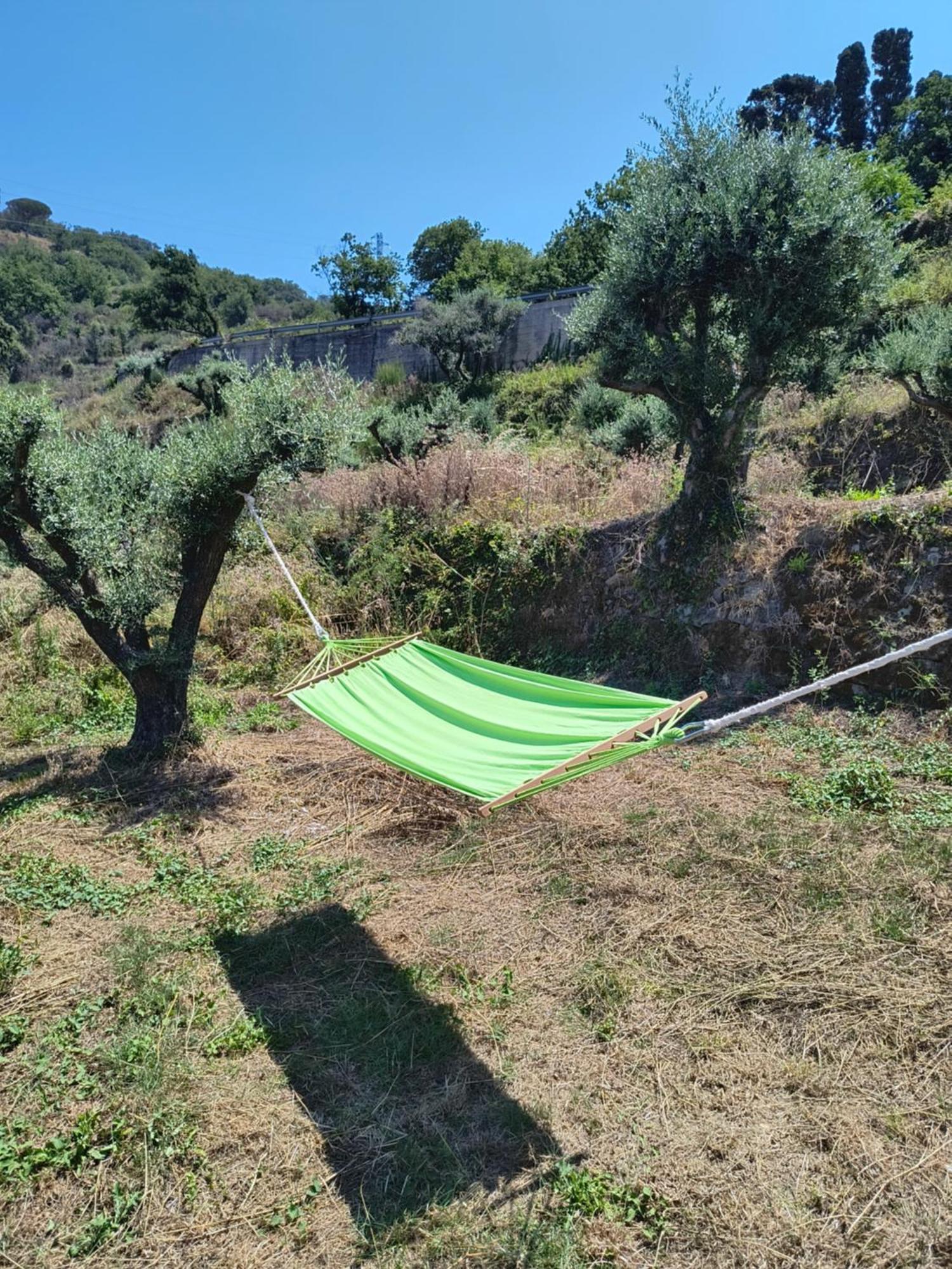 L'Antica Quercia B&B Castell'Umberto Esterno foto