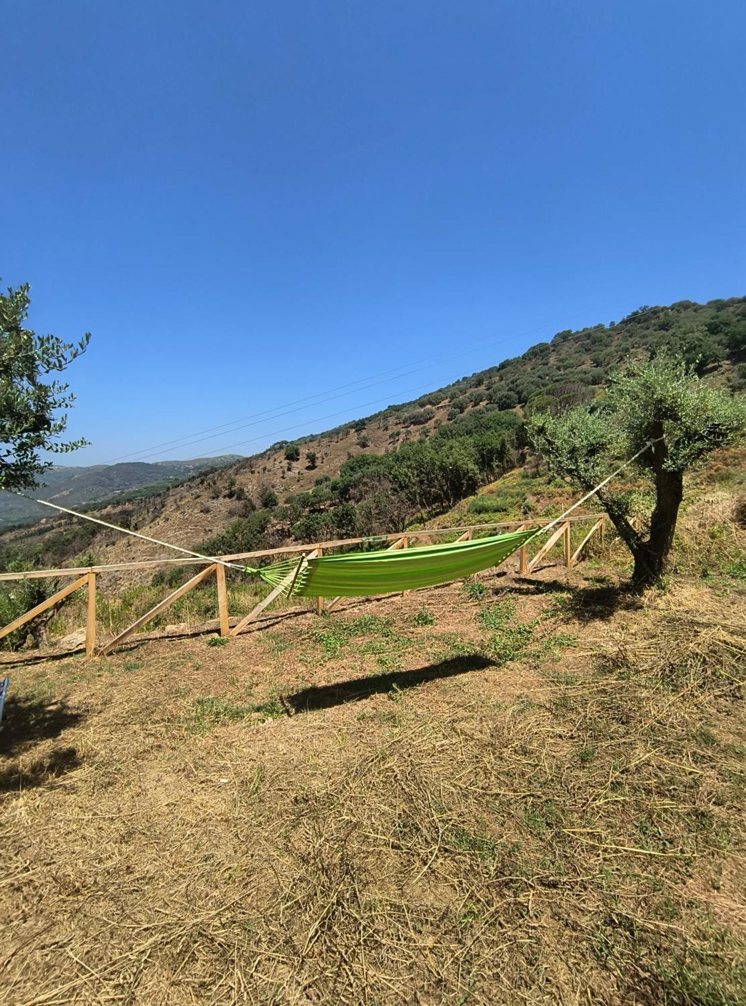 L'Antica Quercia B&B Castell'Umberto Esterno foto