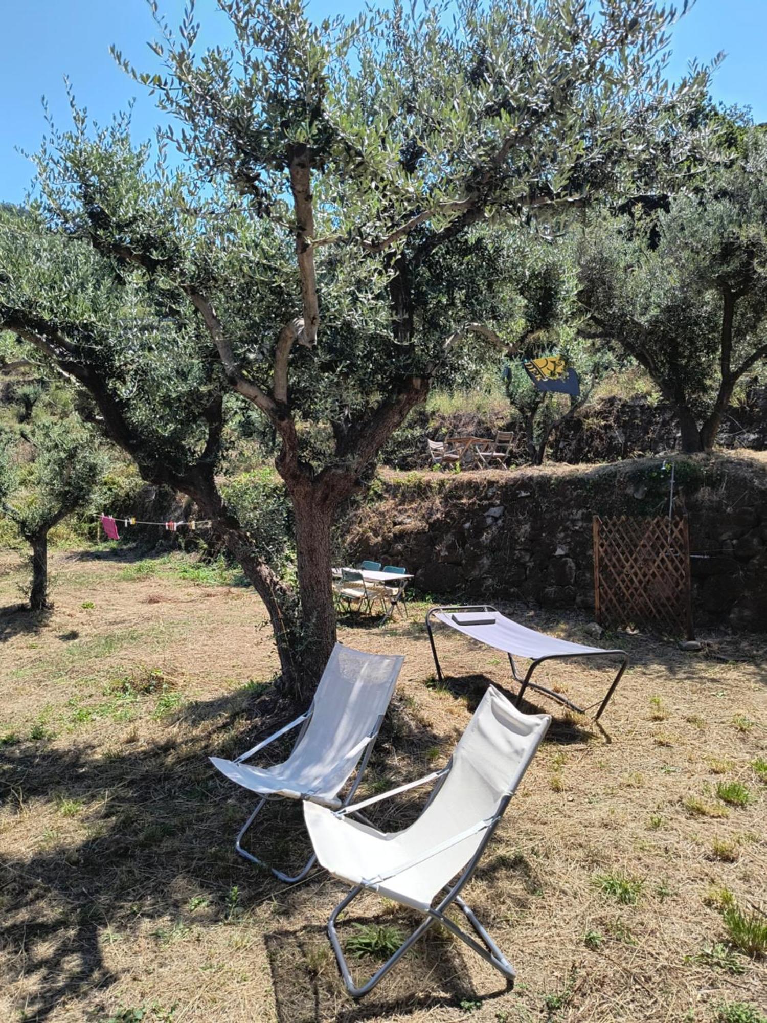 L'Antica Quercia B&B Castell'Umberto Esterno foto