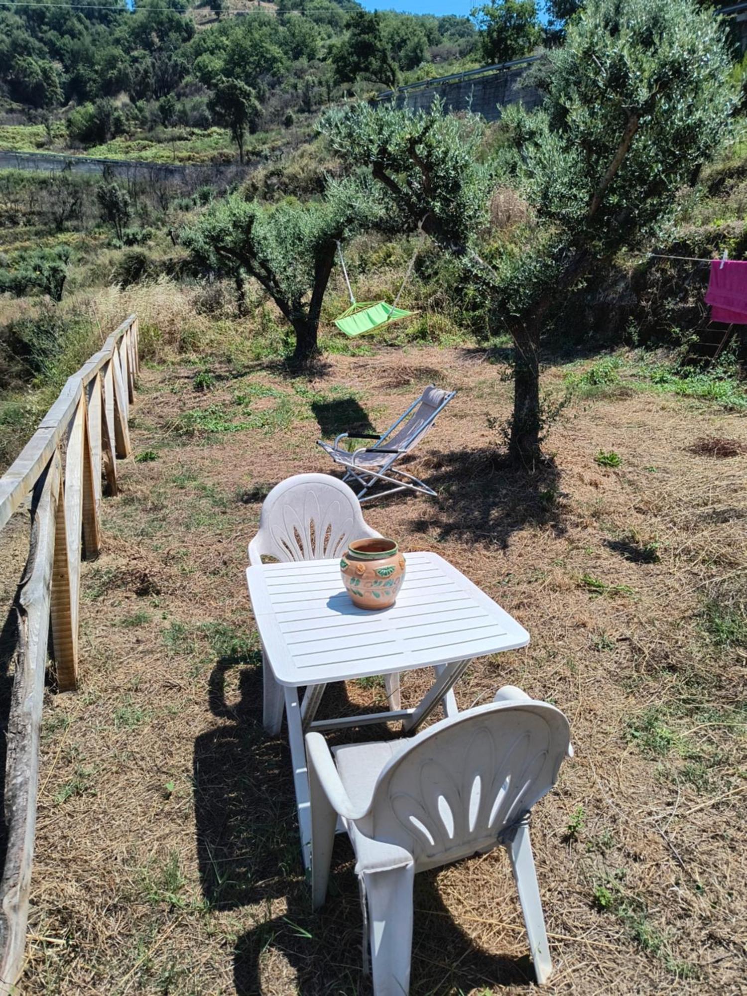 L'Antica Quercia B&B Castell'Umberto Esterno foto