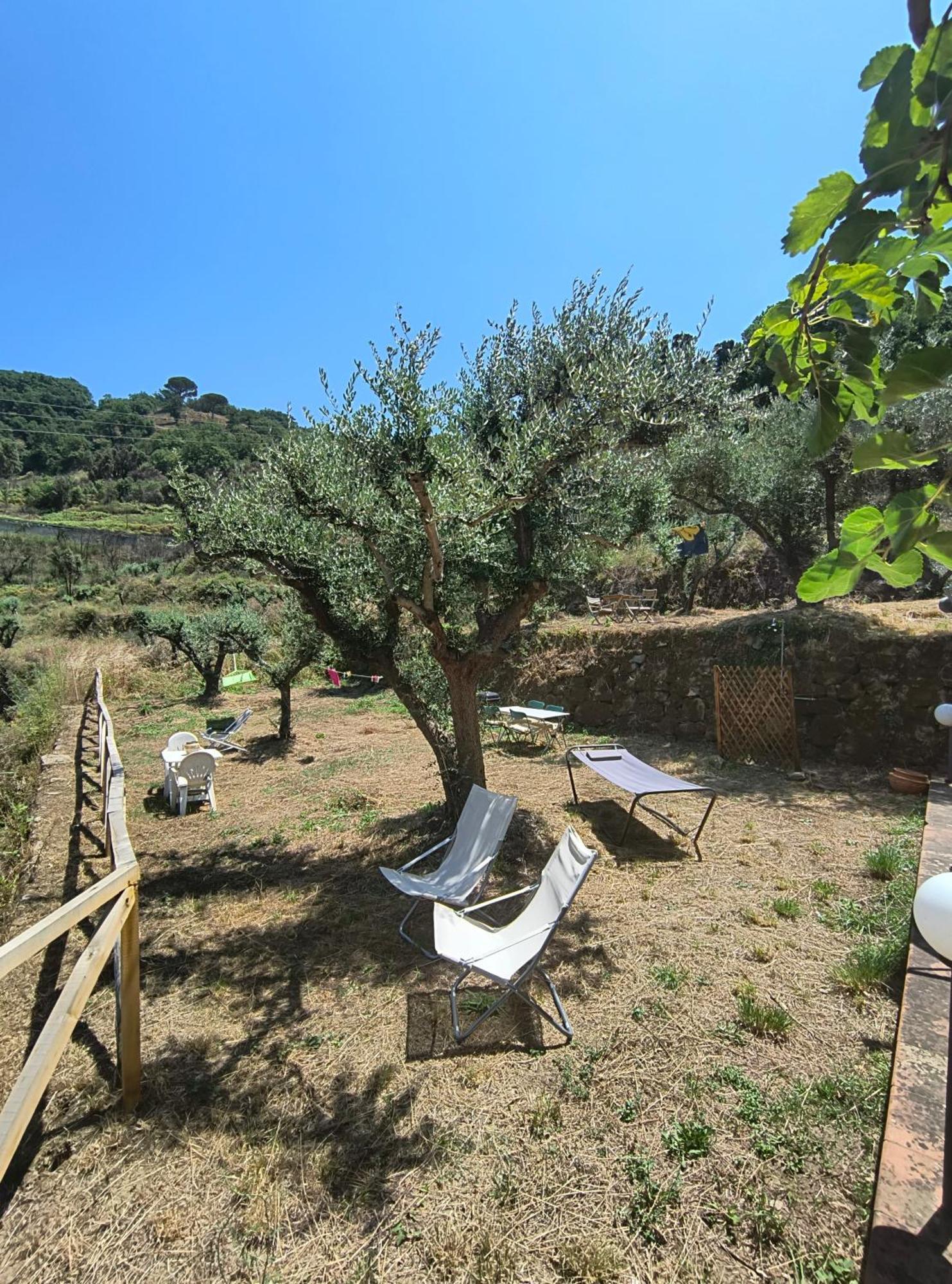 L'Antica Quercia B&B Castell'Umberto Esterno foto
